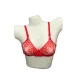 Bridal bra in Pakistan red color with intricate golden and red embroidery