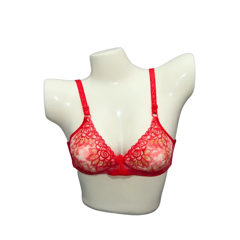 Bridal Bra with White Pads and Intricate Golden & Red Embroidery