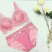 Pink Bra Set online in Pakistan Half Net Wired Soft Bra & Panty Set