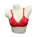 Bridal Red Bra golden embroidery